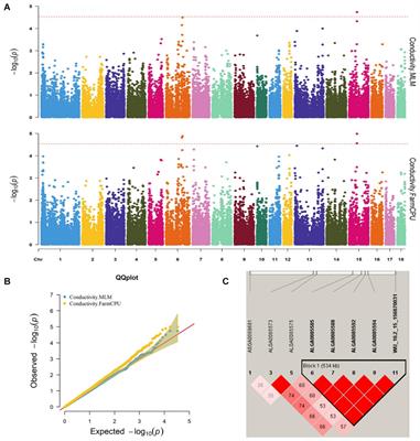 Genome-Wide Association Study of Meat Quality Traits in a Three-Way Crossbred Commercial Pig Population